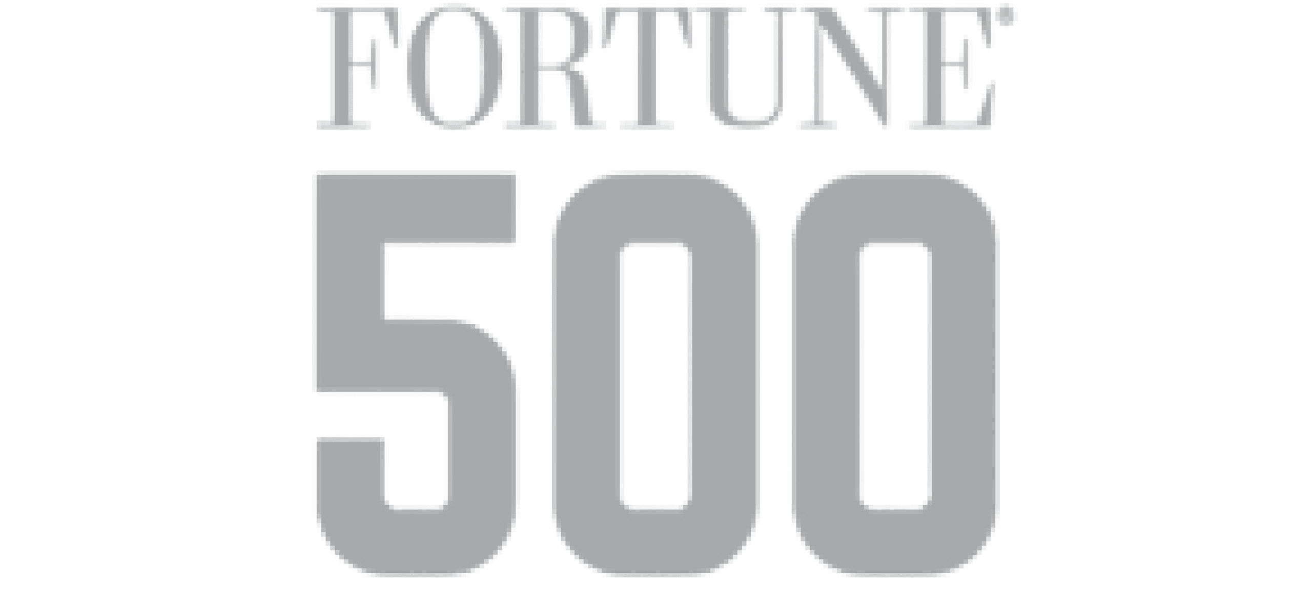 Fortune 500 Enterprise