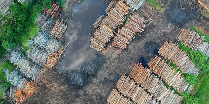 Aerial view of stacked timber, the feedstock for biochar carbon removal