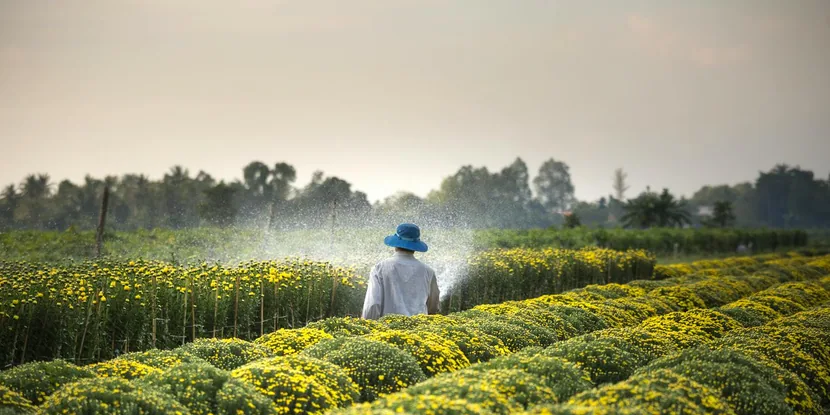 $60M Financing for 10,000+ Acre Farmland Acquisition